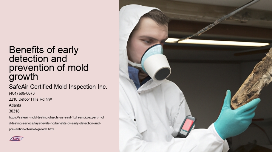 Benefits of early detection and prevention of mold growth