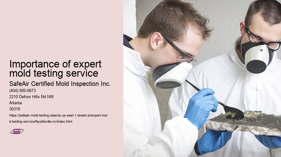 Importance of expert mold testing service