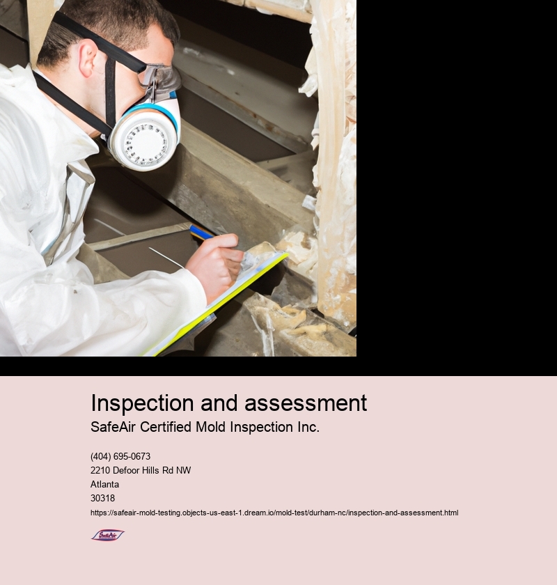 Inspection and assessment