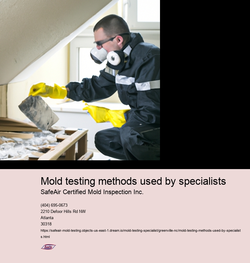 Mold testing methods used by specialists