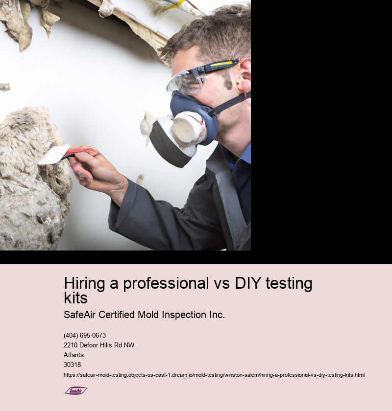 Hiring a professional vs DIY testing kits