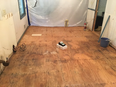 Vulnerable populations at higher risk for complications from mold exposure