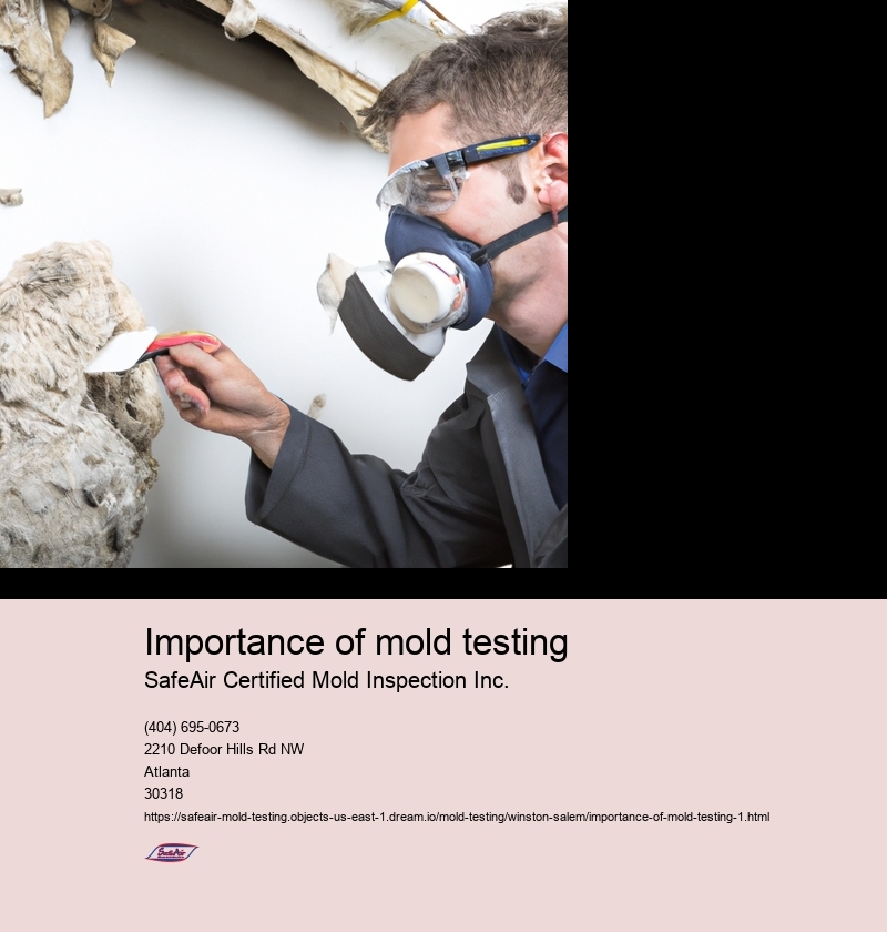 Importance of mold testing