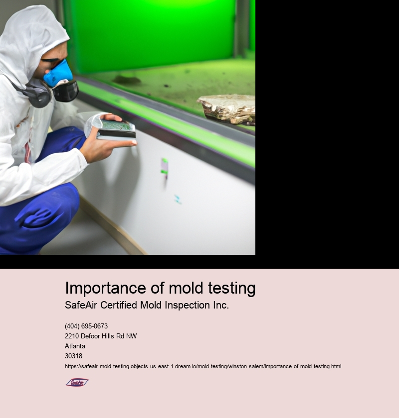 Importance of mold testing