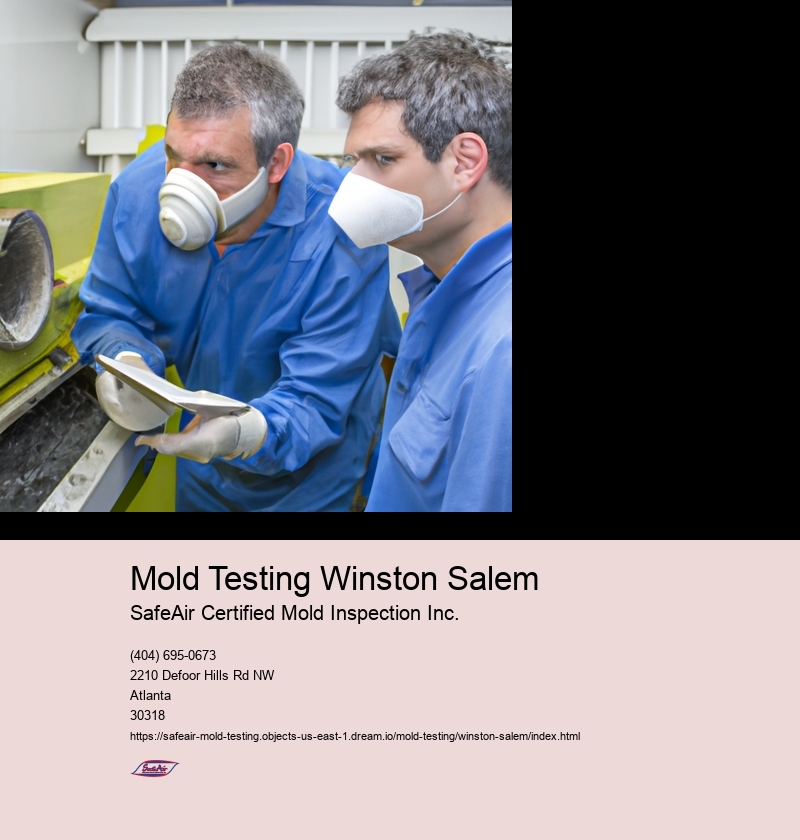 Mold Testing Winston Salem