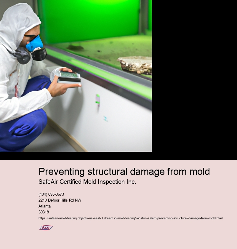 Preventing structural damage from mold