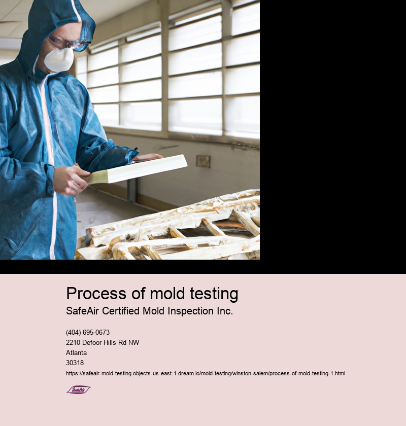 Process of mold testing